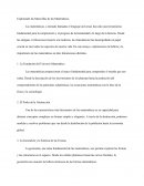 Explorando las Maravillas de las Matemáticas