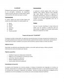 Proyecto comparación de precios. Flashpoint