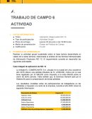 Trabajo de campo. Caso El Comerciante S.A.