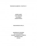 Procesos de alimentos .Informe Tejidos Carne