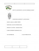 Taller de expresion oral. Análisis crítico