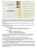 Gestión de actividades operativas: Empresas de comida rápida