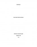 Pedagogía: concepto, importancia y evolución en la educación