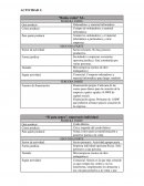 Técnica contable empresa Ratón, ratón S.L