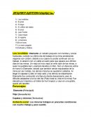 Resumen subterra Wujuu