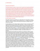 Antología V Caballos de medianoche