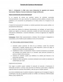 Apuntes derecho comercio internacional