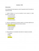 Actividad anatomía y fisiología