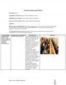 Instalación de Redes Locales