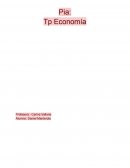 Problemas de la economia y planes a futuro