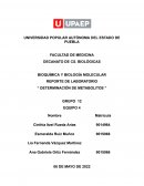 Determinación de metabolitos