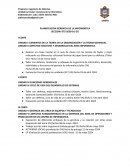 Planificación gerencia de la informática