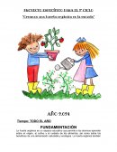 Proyecto específico para el 2° ciclo “Creamos una huerta orgánica en la escuela”