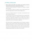 Actividad 1: María sueña - Diseño Organizativo