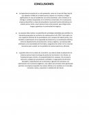 Conclusiones caso de Xing Ling Ltd