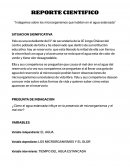 Indagamos sobre los microorganismos que habitan en el agua estancada