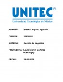 Gestión de Negocios. Mi gusto es