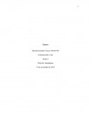 Ensayo sobre comunicación y arte