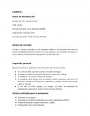 Ejemplo psicodiagnóstico