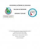 Proyecto Formativo de Impacto Social Sustentable o Asistencial en su primera etapa