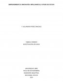 Emprendimiento e innovación: impulsando el futuro de Cúcuta