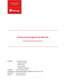 Proceso de investigación de Mercado: Empresa AyV Soluciones