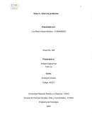 Tarea 4 - Árbol de problemas. Ecología humana