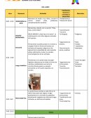 Diversión en el jardín