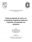 Proyecto orgánica. Perlas de alginato de calcio con propiedades magnéticas dadas por magnetita, encapsulada con quitosano