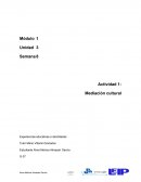 Mediación Cultural, desde la perspectiva de Vygotsky