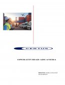 ¿Cómo soluciono los problemas en la importación de bebidas de fruta?