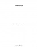 Clasificación arancelaria. Gestión de Importaciones y Exportaciones