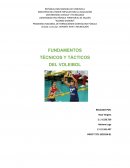 Fundamentos técnicos y tácticos del voleibol