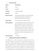 Metodos psicoterapéuticos. Caso Sofía