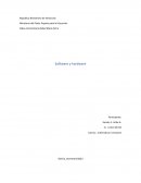 Software y hardware. Ejemplos comunes de software y hardware