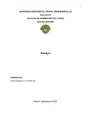 Ensayo decisiones financieras