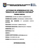 Ensayo de las cuentas contable