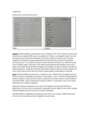 Curso alfabetización. Trabajo final : Análisis de las escrituras de dos niños