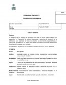 Planificación estratégica evaluacion. Caso:Ti- Solutions