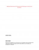 Medidas Alternativas de prevención del bullying en Instituciones Escolares