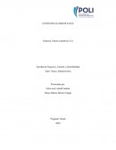 Estrategias gerenciales: empresa: Natura cosméticos S.A