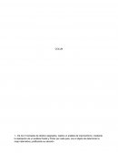 Caso COLUN. PESTAL. Cinco fuerzas de Porter