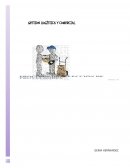 Gestión logística y comercial. Ejercicios