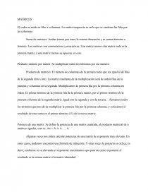 Matemáticas. Matrices. Página 1