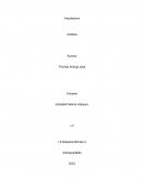 Principales Estilos Arquitectónicos