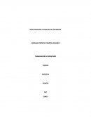 Investigación y análisis de accidente