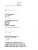 Evaluación sobre identificación de variables
