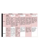 Desarrollo embrionario y fetal