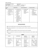 Planeación mensual primer grado 2°