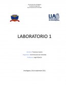 Laboratorio: conminución de minerales